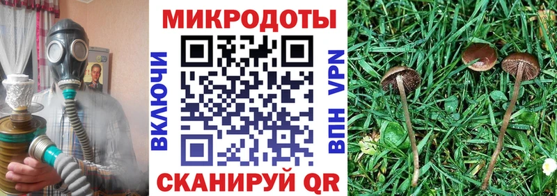 Купить где  Томск  Галлюциногенные грибы ЛСД 